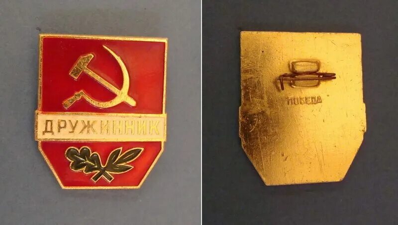 дружинники в москве льготы. воронеж ул дружинников 1. дружинников 2. дружинник россии значок. значки дружинник.