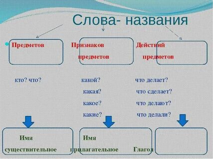 Название признака свойства