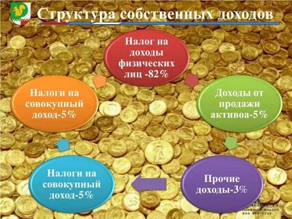 Что относится к собственным доходам