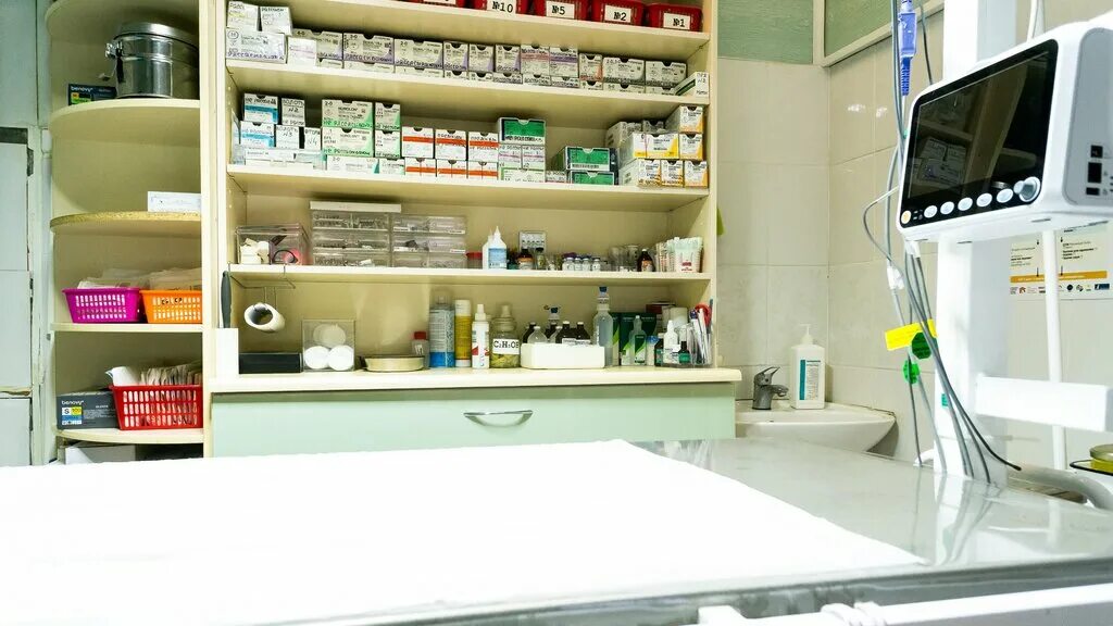 большая краснофлотская 13 смоленск. сафоново смоленской области ул. стоматология в сафоново смоленской области. альтаир липецк ветклиника. энем ветеринарные клиники айболит.