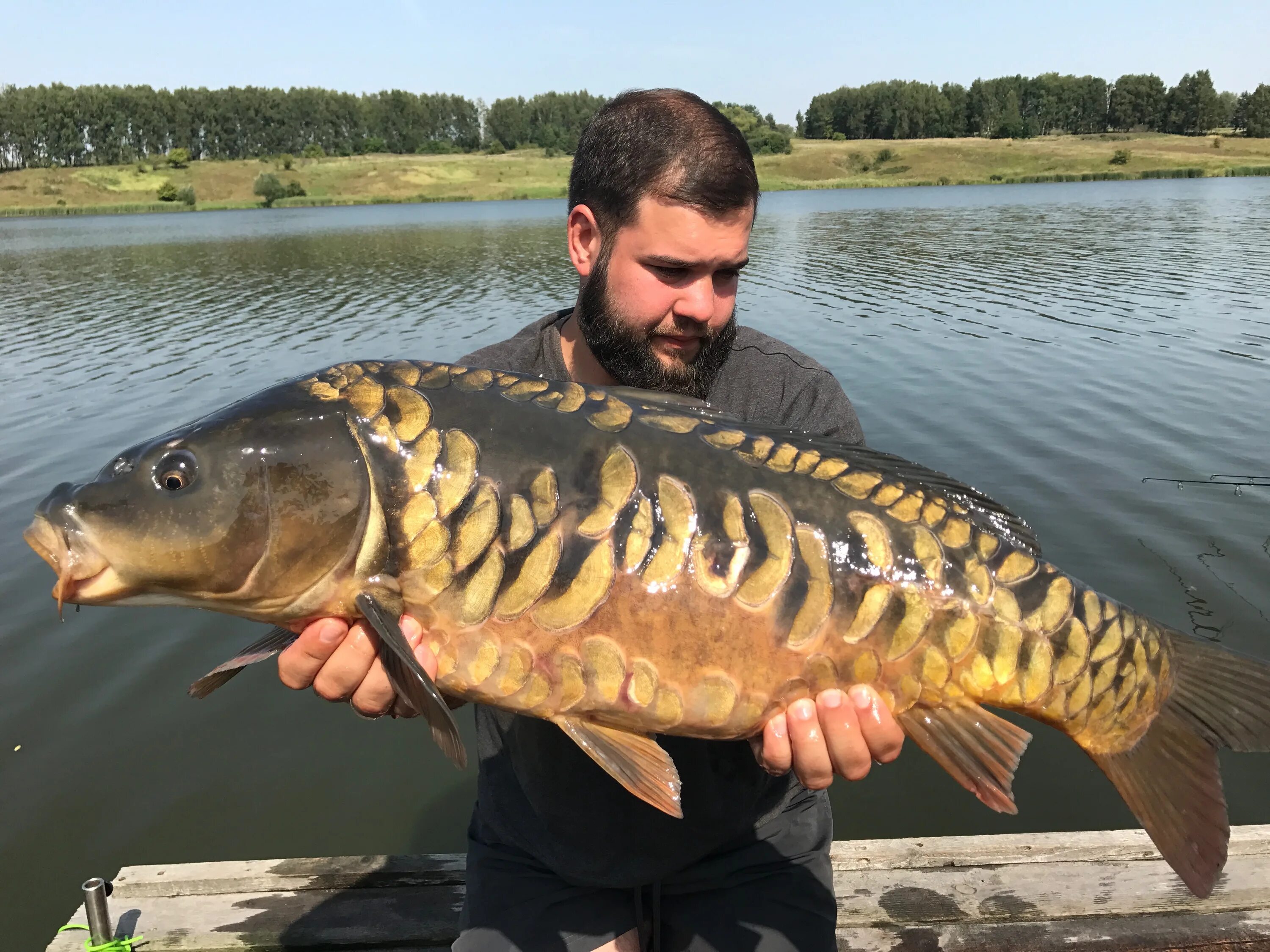 Карповая рыбалка. Карп Домино Бойково. Меховой карп