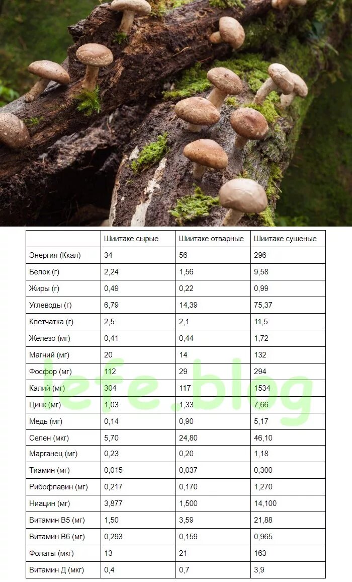 Калорийность грибов шиитаке. Грибы шиитаке калорийность. Пищевая ценность грибы шиитаке. Калорийность грибов таблица. Сколько белков в белом грибе