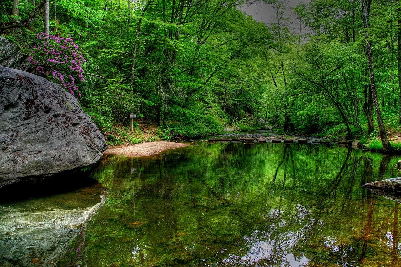 Natural scene. Природа горы. Манзара. Тропинка к речке. Природа.