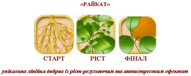 Ассортимент удобрений: Райкат. Райкат развитие инструкция. Райкат финал.