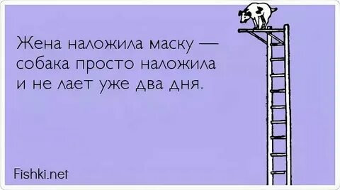 Ты смотрел налево когда ты простой кобель