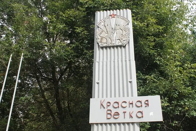 Красная ветка кинешма