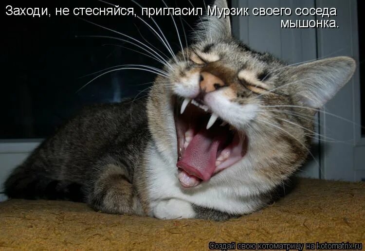 Форумы стесняешься