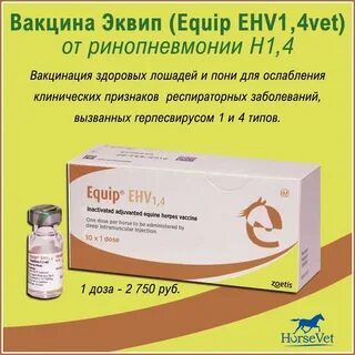 Вакцина ринопневмония лошадей инструкция