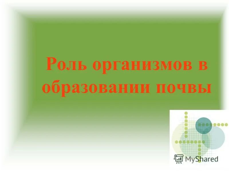 организмы обитающие в почве. растения в почвообразовании. роль живых организмов в образовании почвы. почвенные водоросли примеры. роль живых организмов в формировании почвы.