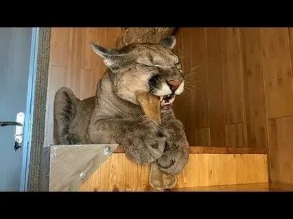 Полез в верх