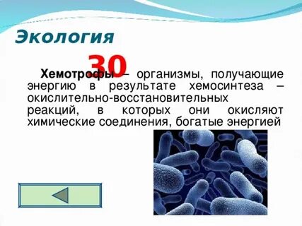 Что означает организмы