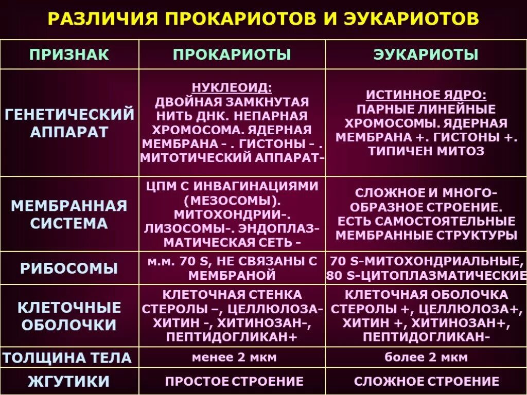 Эукариоты отличия. Отличия клеток прокариот от эукариот. Отличие клетки эукариот от прокариотических. Отличия эукариот от прокариот таблица микробиология. Отличие прокариот от эукариот таблица.