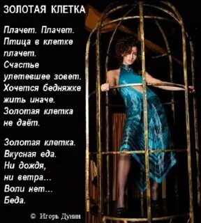 Любовь в золотой клетке