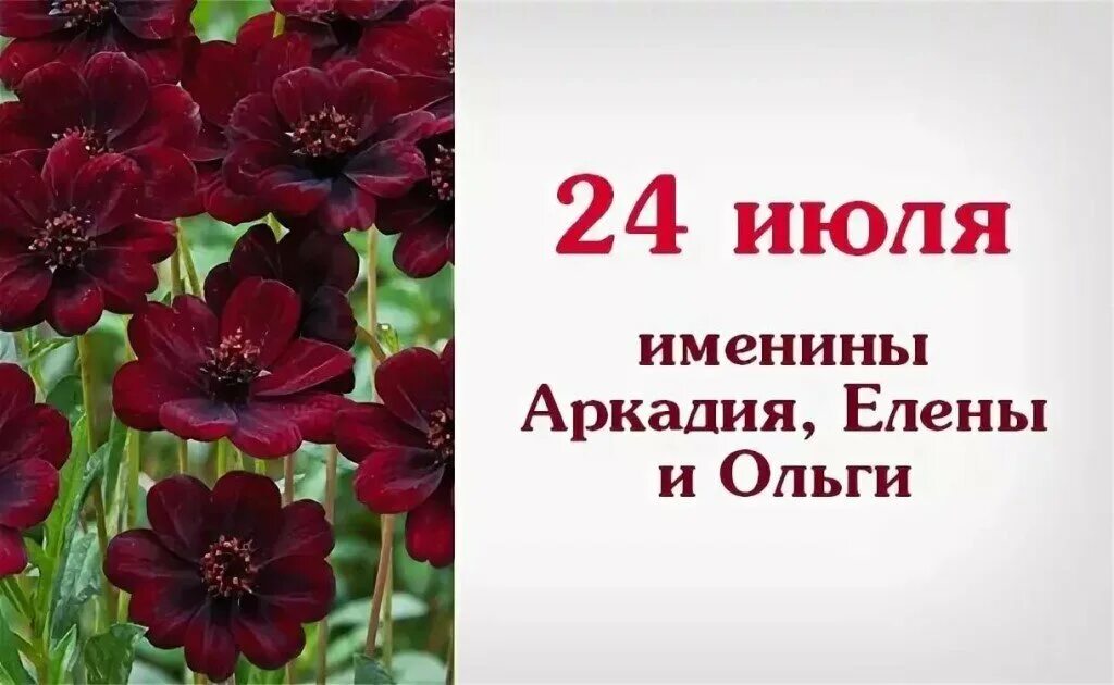 24 Июля день ангела. Именины Ольги и Елены 24 июля. День ангела Ольги и Елены. 24 Июля день ангела Елены. Ольги 24 июля