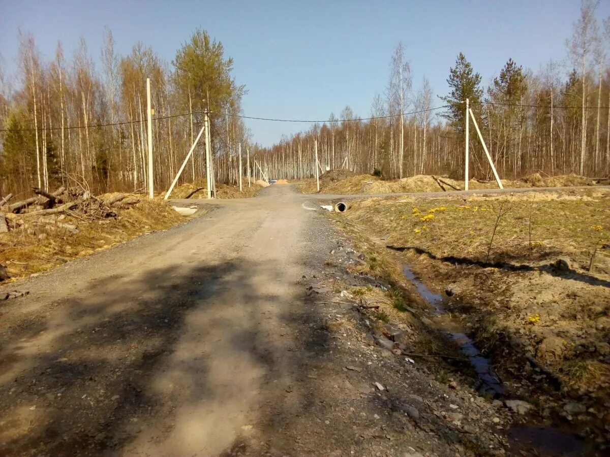 Деревня низино ломоносовского. Фото озера в деревне Низино Ломоносовский район.