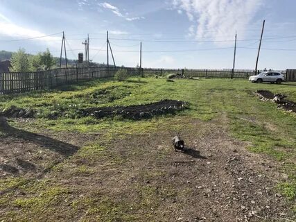 Погода в элите красноярского края емельяновского