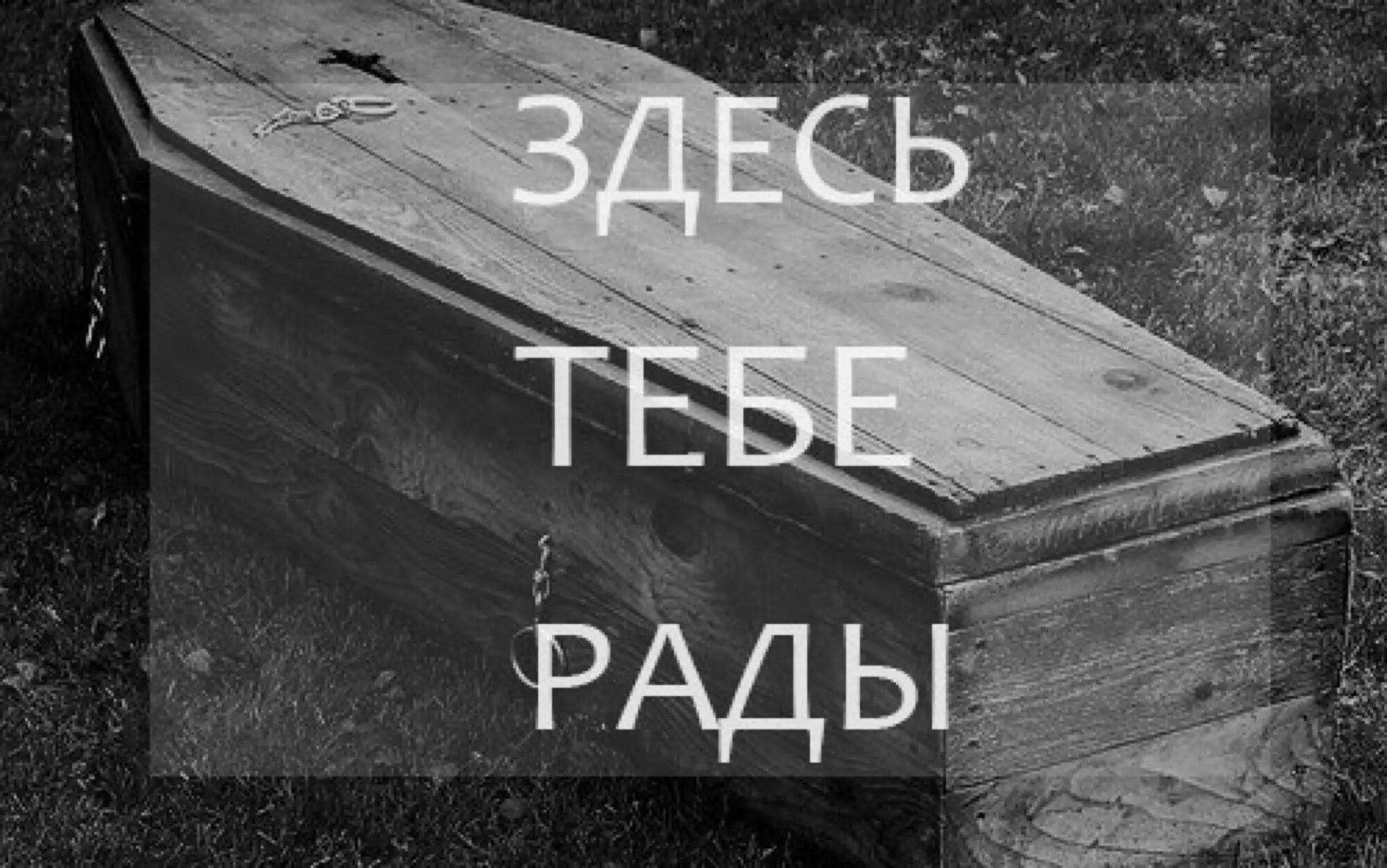 Смерть с надписью скоро. Надпись ты мертв. Никому не рад не посаженные деревья впр