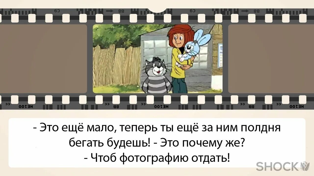 Какой хороший день чтоб пойти текст. Ты ещё полдня за ним бегать будешь. Чтобы фотографию отдать Матроскин. Еще полдня бегать будешь чтобы фотографию отдать. Простоквашино чтобы фотографии отдать.