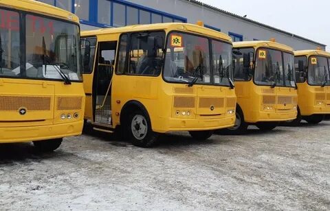 Сланцы новый школьный автобус