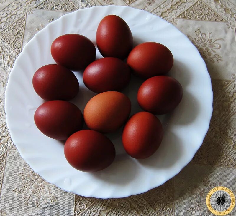 пятна на скорлупе куриных яиц. курица с яйцами. красное куриное яйцо. в куриных яйцах кровяные сгустки что это такое. желток куриного яйца.