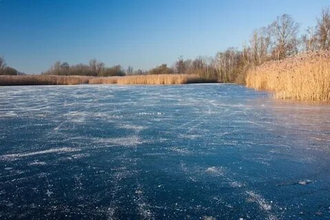 Замерзли ли водоемы
