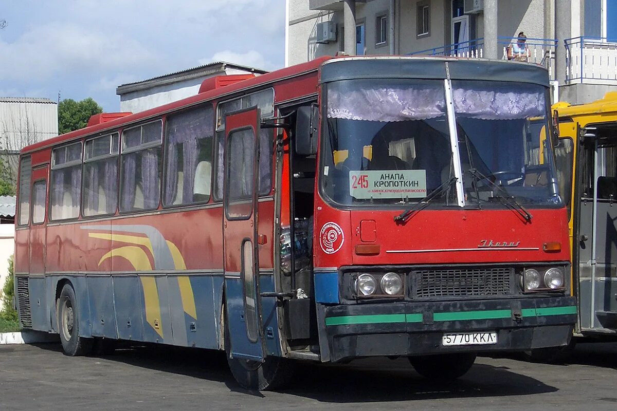 Икарус 250.59. Икарус Краснодар. Икарус 250 на автовокзале. Икарус 250 Краснодар. Москва кропоткин автобус