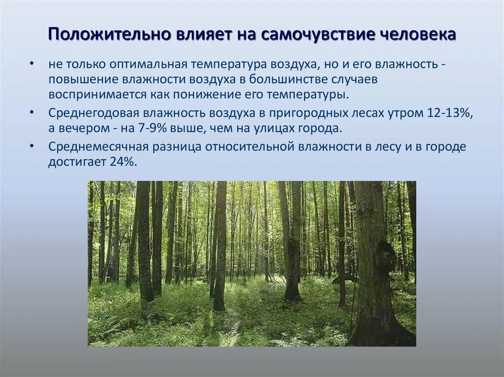 Влияние леса на здоровье человека. Положительное влияние человека на воздух. Воздействие влажности на человека. Положительное влияние человека на атмосферу. Влияет ли природа на человека