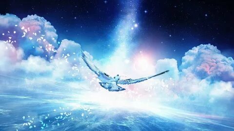 Flying to my dream