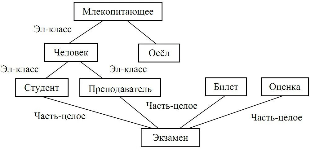 Семантическая сеть модели представления знаний. Семантическая сеть модели представления знаний