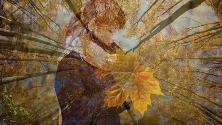 Песня листья кружит ветер. Осень кружит. Осень вальс ветер кружит листья. Листья кружатся ностальгия. Увядший лист кружится.