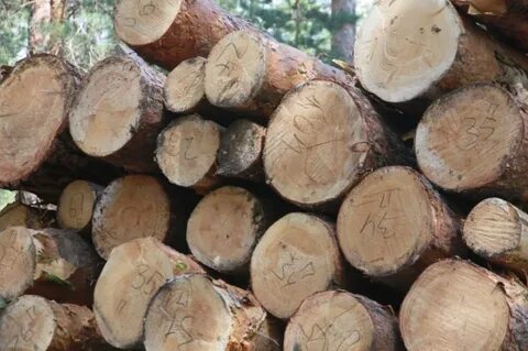 Send logs