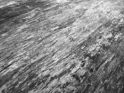 Gray wood
