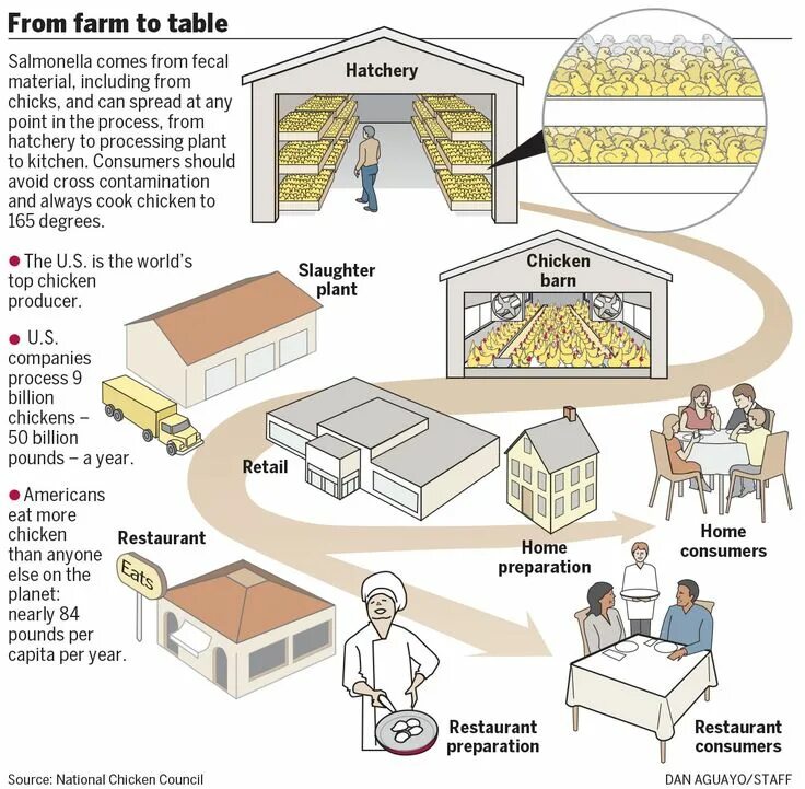 Table processing. From farm to table. «farm to fork» стратегия. from farm to table — «с фермы на стол». кластер сальмонелла.