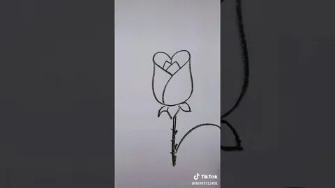 Розы в тик ток