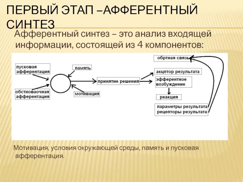 Афферентация это. Афферентный Синтез поведенческого акта. Афферентный Синтез Анохин. Афферентный Синтез Анохин схема. Афферентный Синтез функциональной системы.