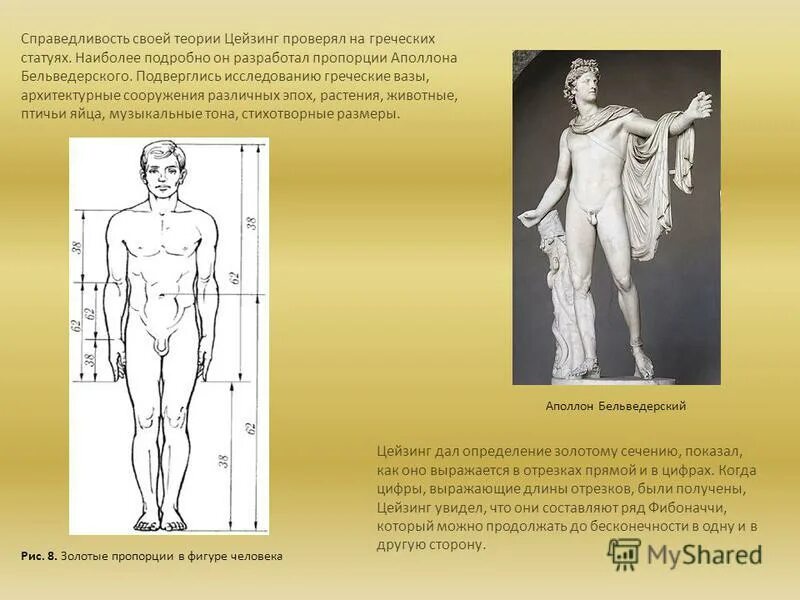 аполлон презентация. размеры аполлона. размеры аполлона. статуя аполлона бельведерского золотое сечение. посадочный модуль аполлон 11 чертежи.