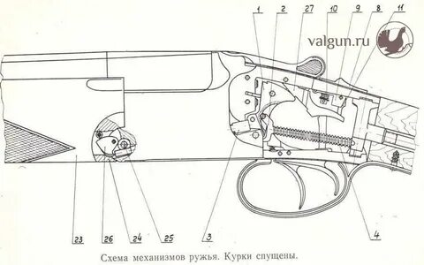 Иж 12 схема
