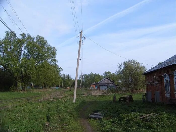 Погода село борки. Морозовы-Борки Сапожковский район Рязанской области. Село Морозовы Борки Сапожковского района Рязанской области. Собчаково Рязанская область Сапожковский район. Село черная речка Сапожковского района Рязанской области.