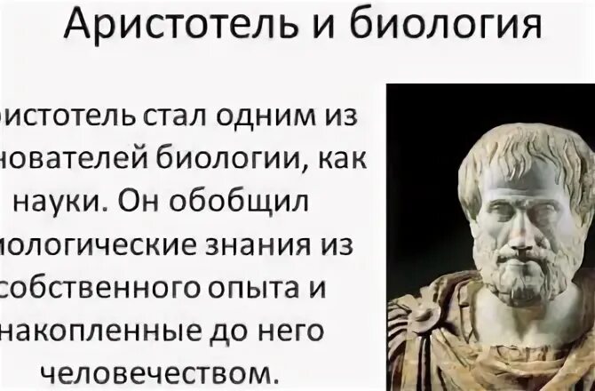 Вклад аристотеля в биологию