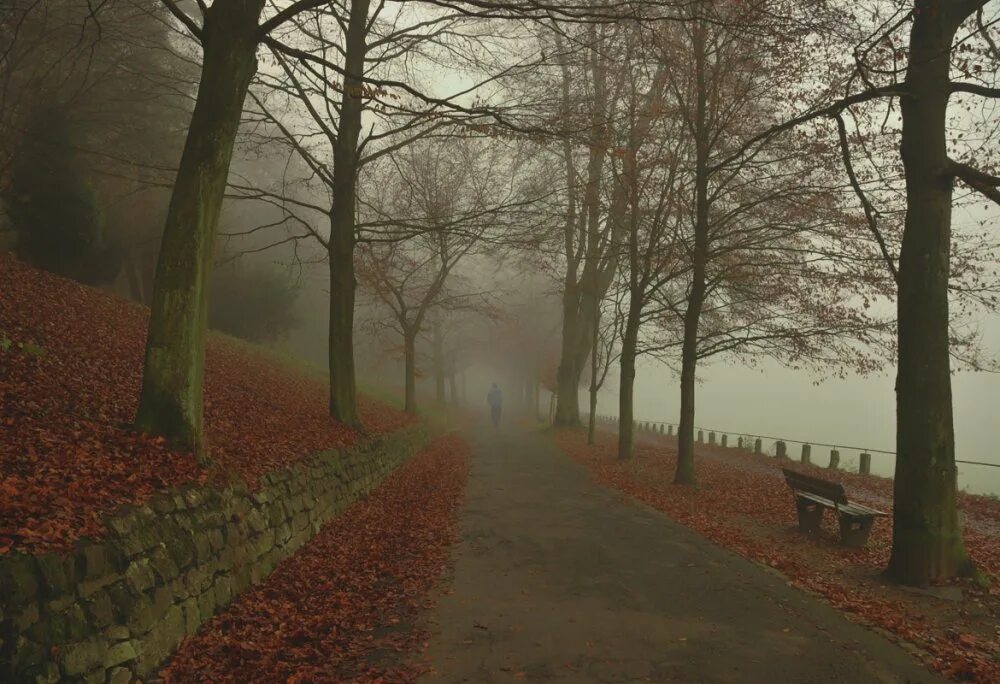 осень жизни женщины. грустный лес. девушка на осенней дороге. темный лес. унылый осенний пейзаж.
