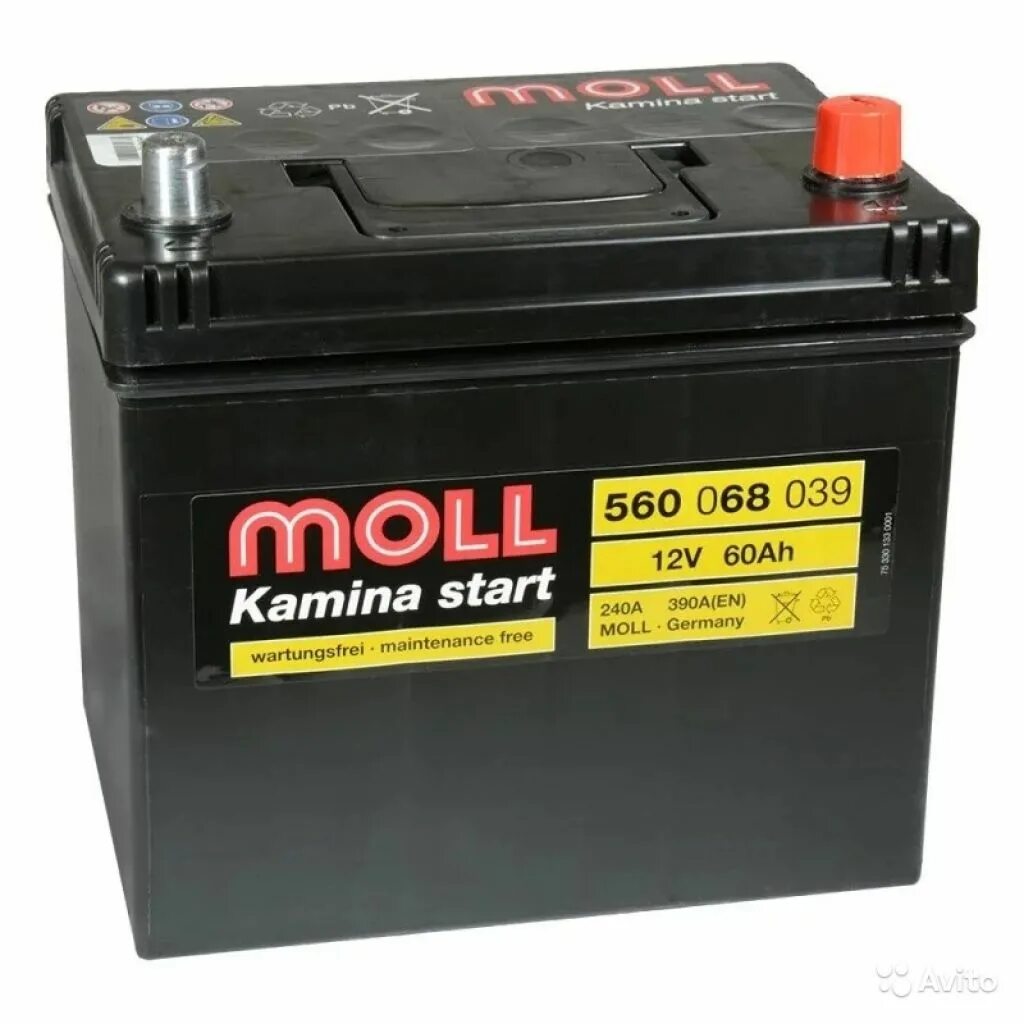 Аккумуляторы Moll 12 v 75 Ah. АКБ 60v 50ah. Racer Asia 60ah аккумулятор. 12v 60 Ah Moll AGM 60 Ач 640 а. Аккумулятор asia 60