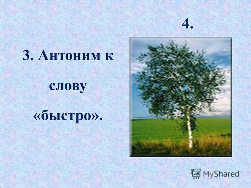 Антонимы к слову береза. Береза антонимы. Антоним к слову быстро. Антонимы к слову береза 3 класс. После этих слов скорее