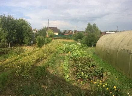 Автобус манушкино чехов