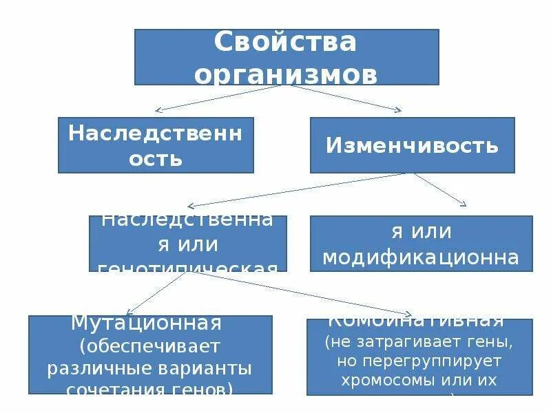 Закономерности изменчивости организмов. Изменчивость организмов наследственная и ненаследственная. Закономерности изменчивости наследственная и ненаследственная. Наследственность и изменчивость. Закономерность наследственной изменчивости