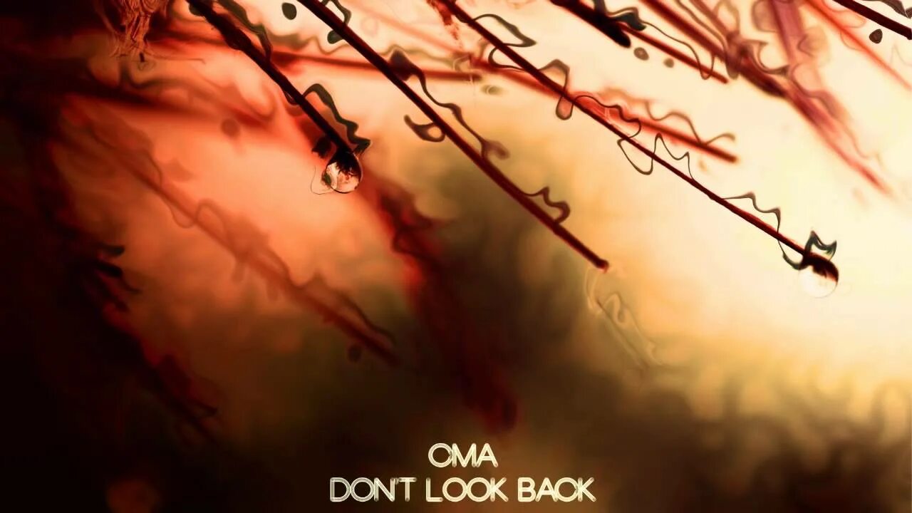 Dont back. Don t look back. Don't look back картинка. Prep don't look back. Lelleyn - don't look back.