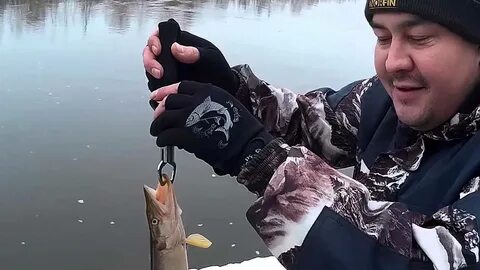 Видео где ловят