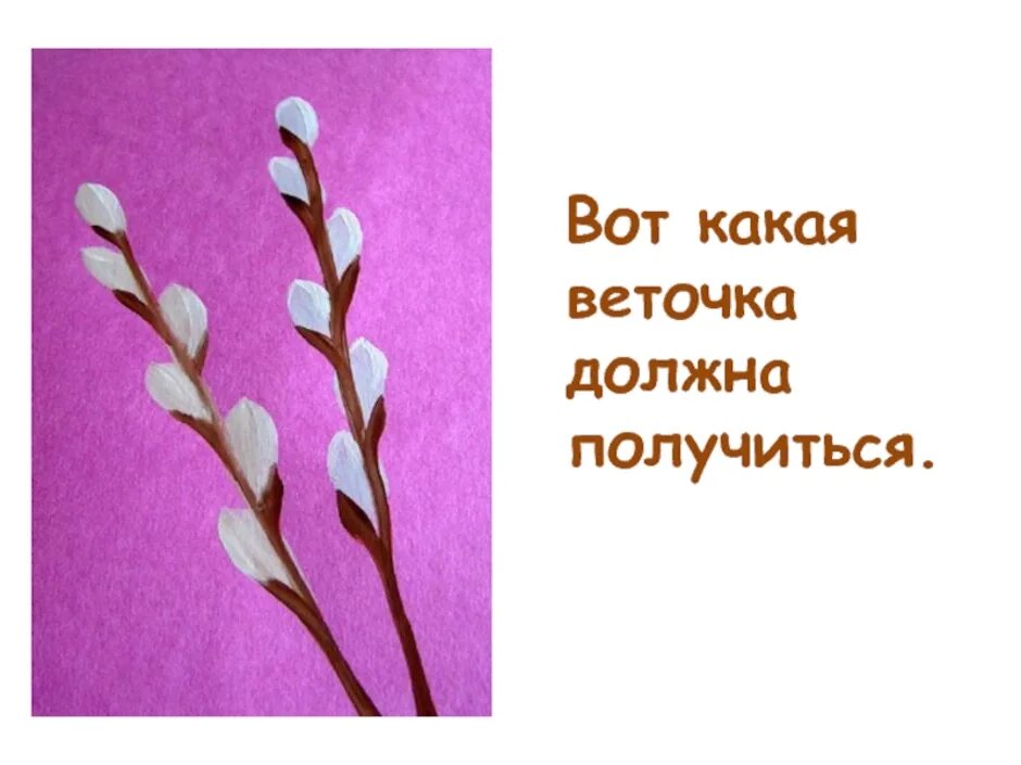 Рисование веточка вербы. Рисование ветка вербы. Верба рисунок для детей. Веточка вербы 1 класс изо.