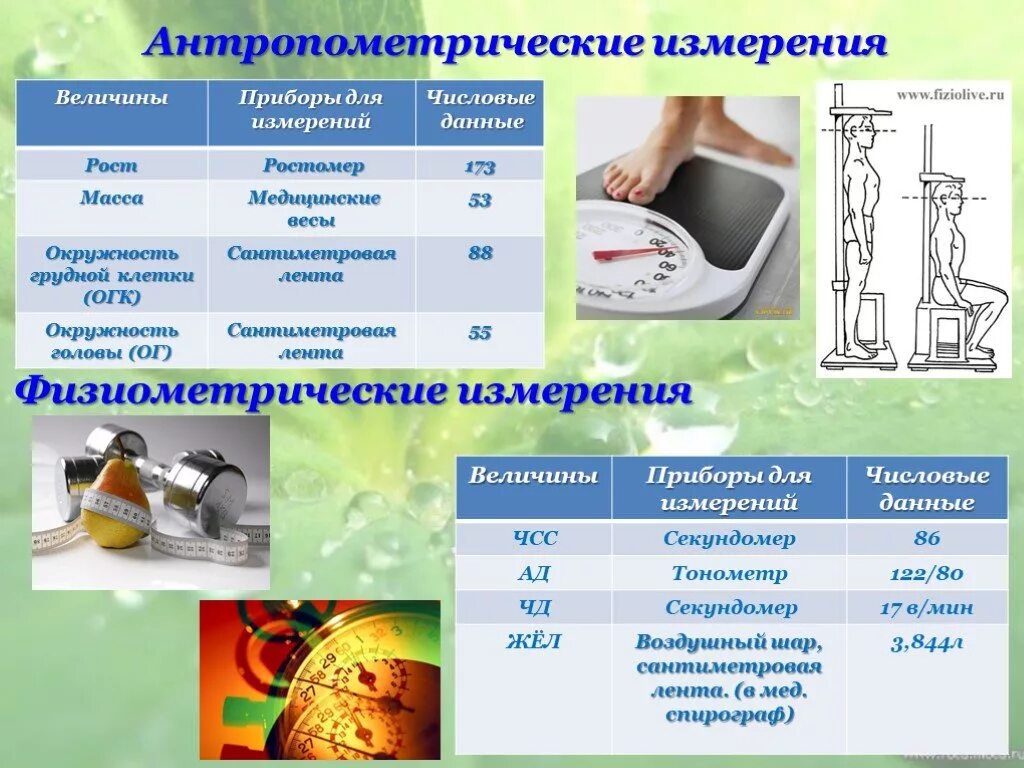Измерение веса информации. Антропометрические измерения. антропометрическиtизмерениz. способы выполнения антропометрических измерений. измерение антропометрических показателей.