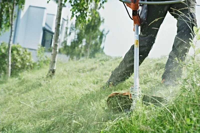 Покос газона цена. Покос триммером Хускварна. Триммер для покоса травы бензиновый Husqvarna. Husqvarna 5036946-01 триммер. Покос травы триммером.