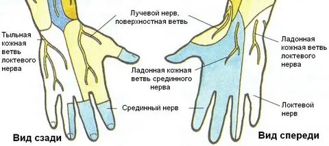 Поражение сенсорных волокон срединного нерва